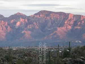 Catalina Ridge Subdivision Tucson Arizona