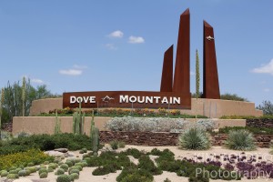 Dove Mountain Home Sales April 2017