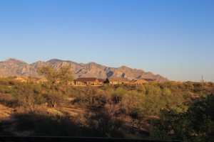 12824 n cactus terrace place Views