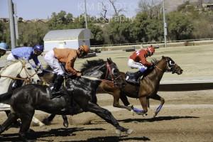 Rillito Park Race Track Tucson AZ