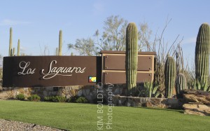 los saguaros at dove mountain