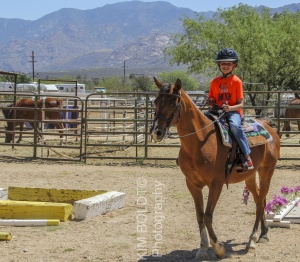 Tucson Horse Property sales August 2018